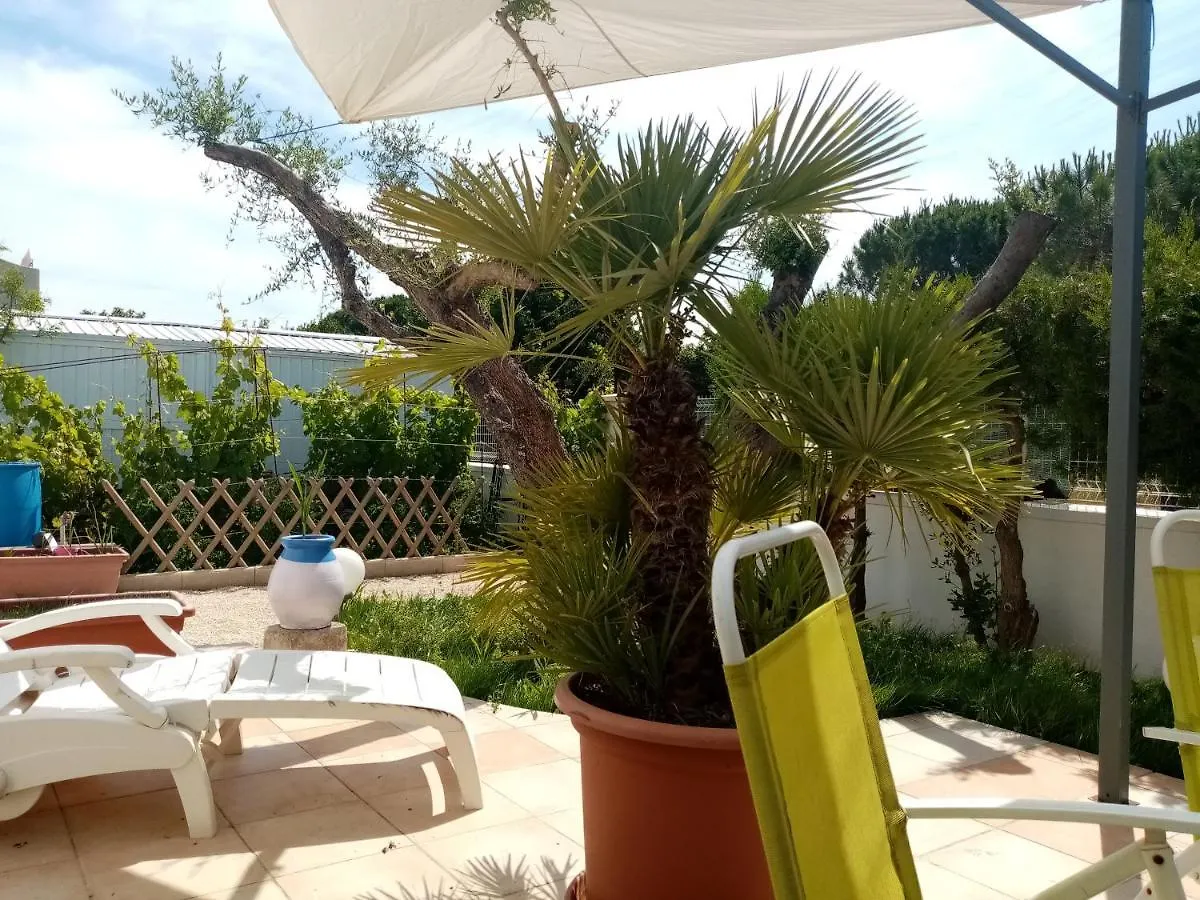 Le Flamant Rose Bed and Breakfast Salin-de-Giraud